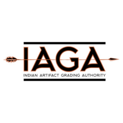 Profile photo of Joseph Mattingly